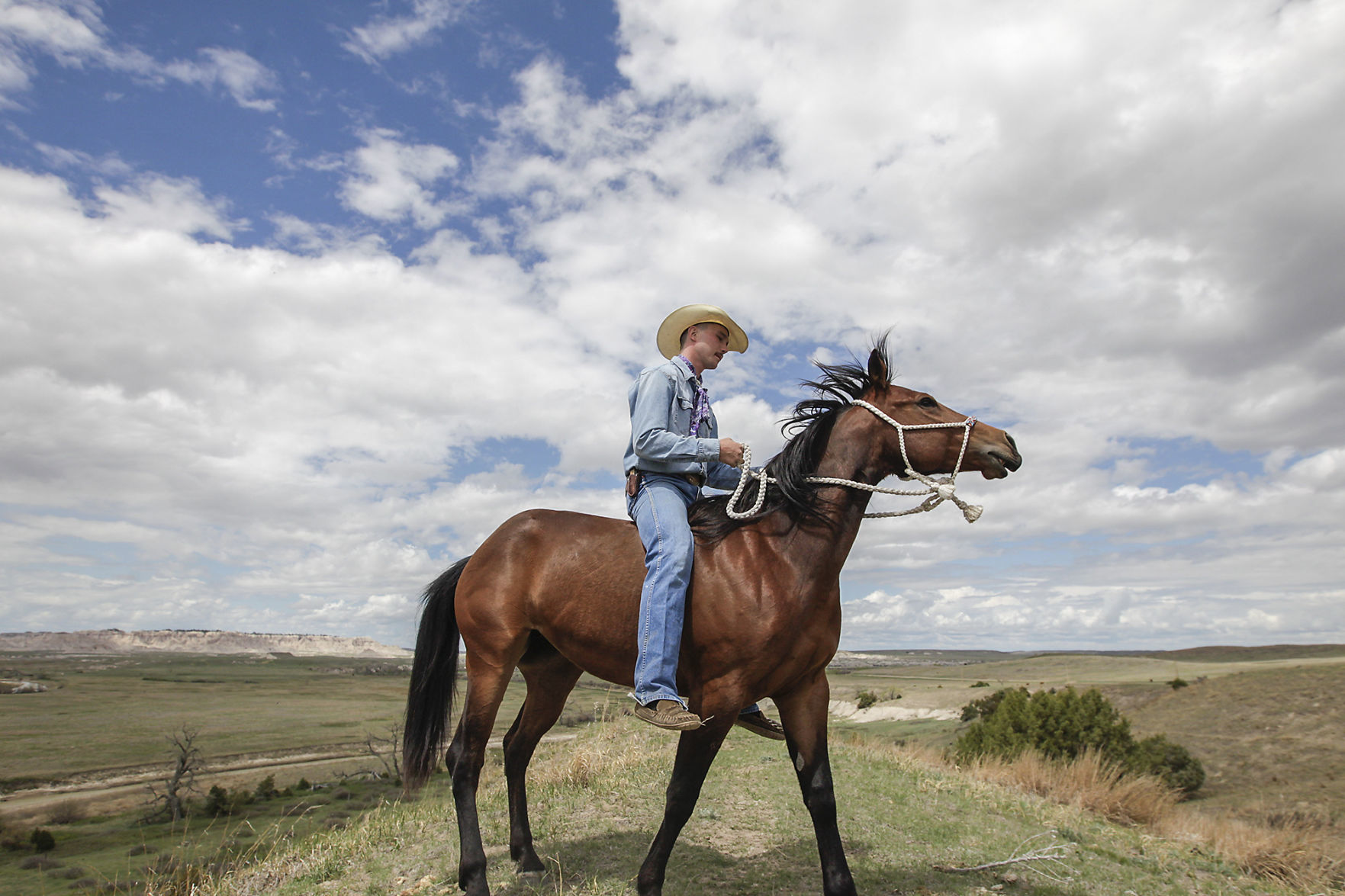 The Rider